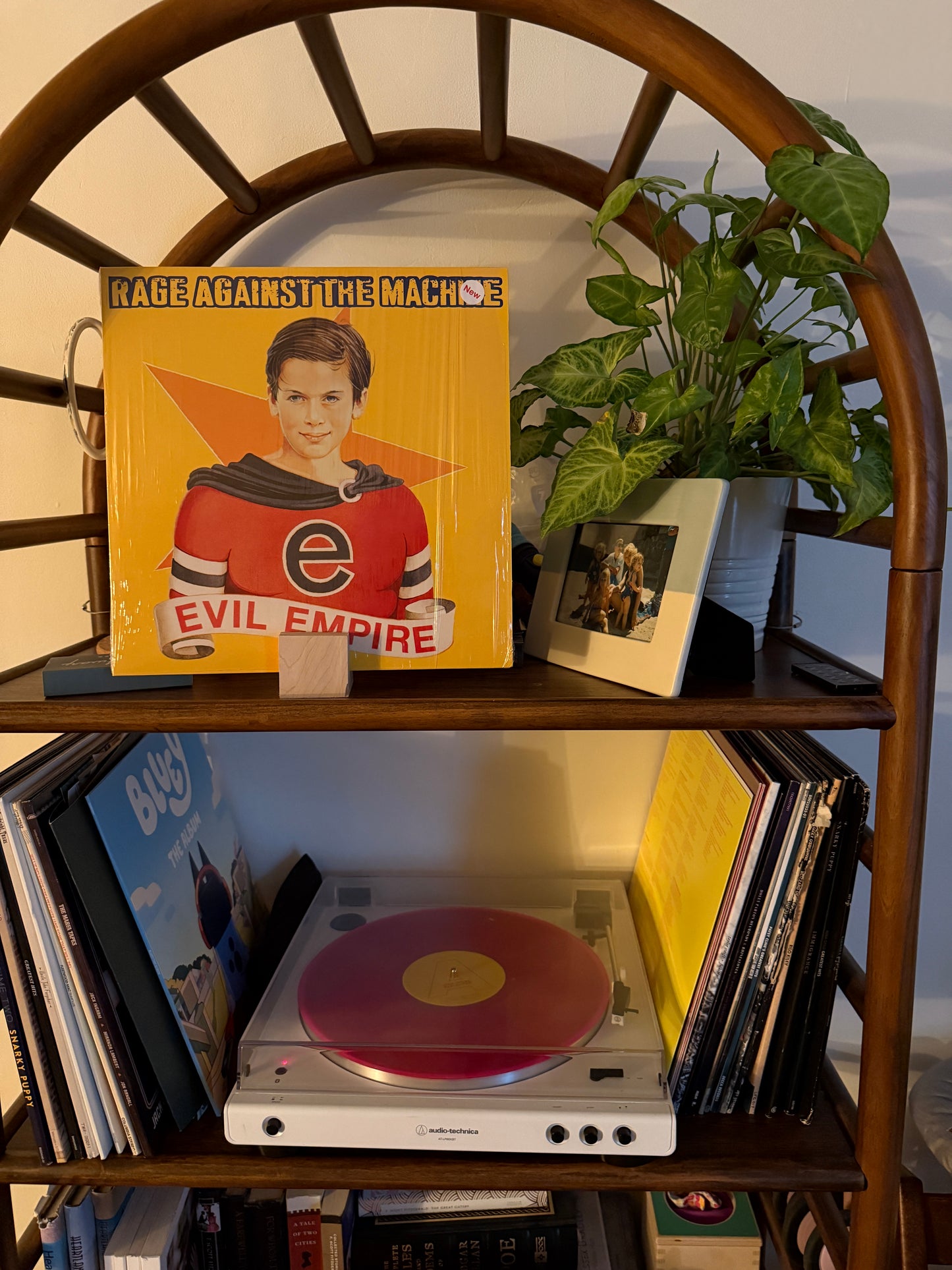 Table top record album holder